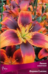 Лилия азиатская Форева Сьюзан (Lilium asiatic Forever Susan)
