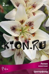 Лилия азиатская Центерфолд (Lilium asiatic Centerfold)