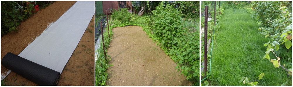 Газонное полотно "ГеоАнтисорн" 0,8 x 40 м