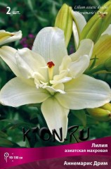 Лилия азиатская махровая Аннемарис Дрим (Lilium asiatic double Annemaries Dream)