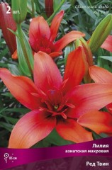 Лилия азиатская махровая Ред Твин (Lilium asiatic double Red Twin)