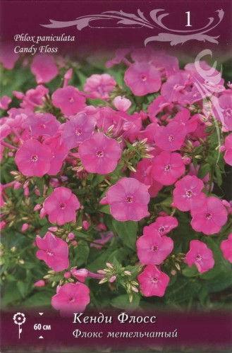Флокс метельчатый Кенди Флосс (Phlox paniculata Candy Floss)