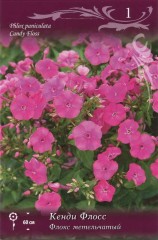 Флокс метельчатый Кэнди Флосс (Phlox paniculata Candy Floss)