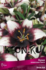 Лилия азиатская Танго Блэк Ай (Lilium asiatic Tango Black Eye)