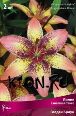 Лилия азиатская Танго Голден Браун (Lilium asiatic Tango Golden Brown)