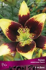 Лилия азиатская Танго Изи Данс (Lilium asiatic Tango Easy Dance)