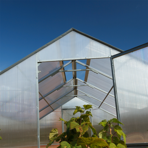 Теплица из поликарбоната Дельта