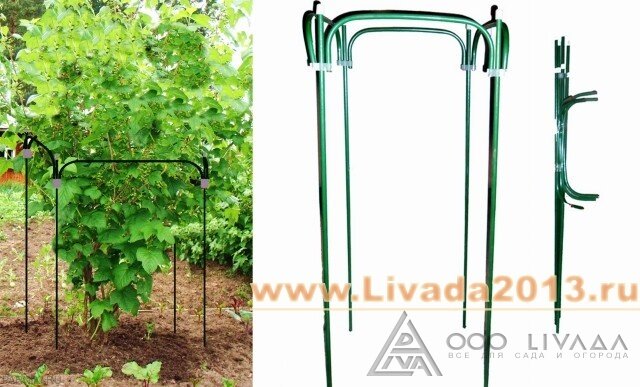 Кустодержатель разборный