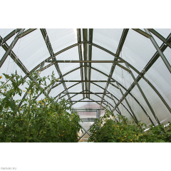 Теплица из поликарбоната Дачная Стрелка 3