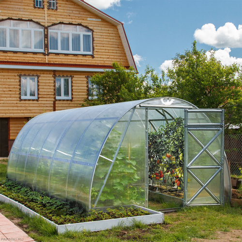 Теплица из поликарбоната Дачная Оптима