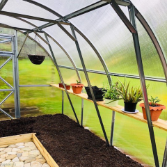 Теплица из поликарбоната Дачная Трешка