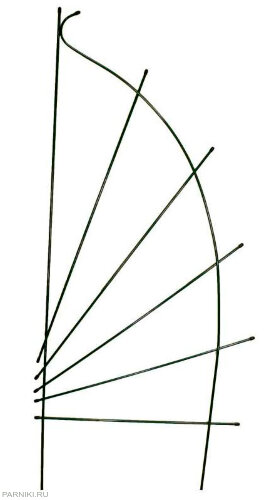 Шпалера Парус