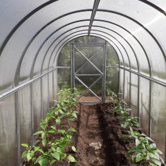 Теплица из поликарбоната Перчина-М Плюс